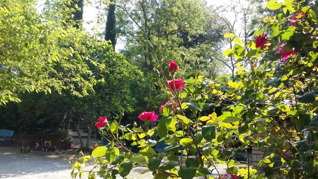 Agriturismo Alle Rose Volterra Eksteriør bilde