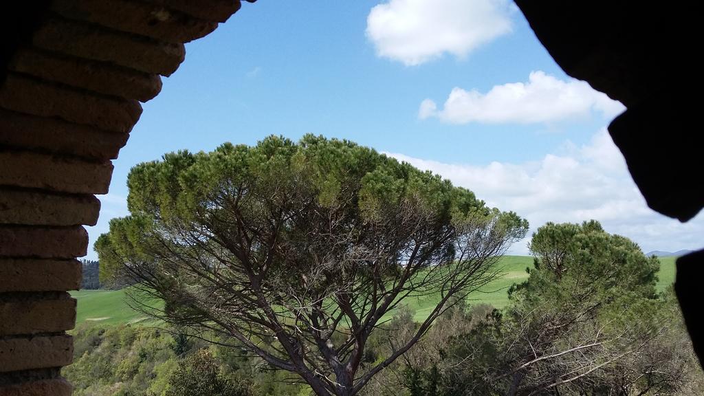 Agriturismo Alle Rose Volterra Eksteriør bilde