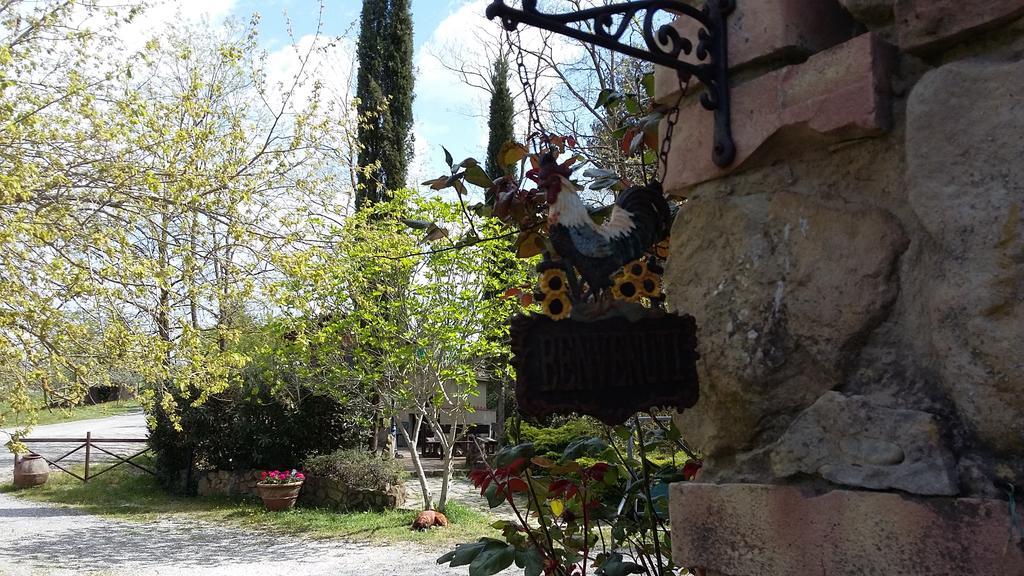 Agriturismo Alle Rose Volterra Eksteriør bilde